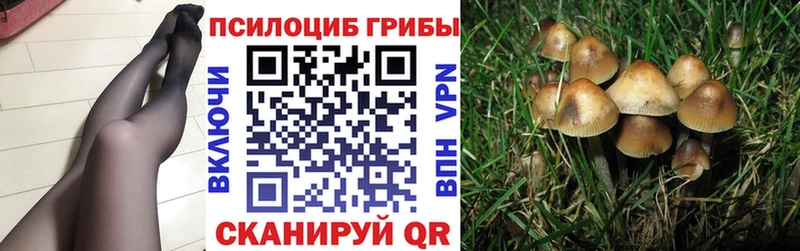 Псилоцибиновые грибы Cubensis даркнет сайт Надым